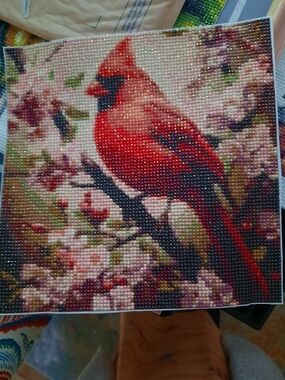 Tasha's Only!!!   Red Cardinal Bird Diamond Painting...NFS...Tasha's Only!!!